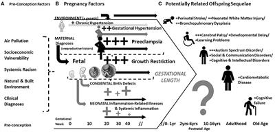 The Global Pregnancy Collaboration (CoLab) symposium on short- and long-term outcomes in offspring whose mothers had preeclampsia: A scoping review of clinical evidence
